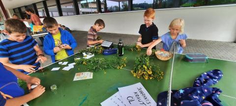 Ausflug in die Wiese – Bild 2
