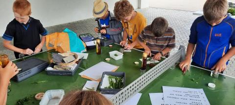 Ausflug in die Wiese – Bild 4