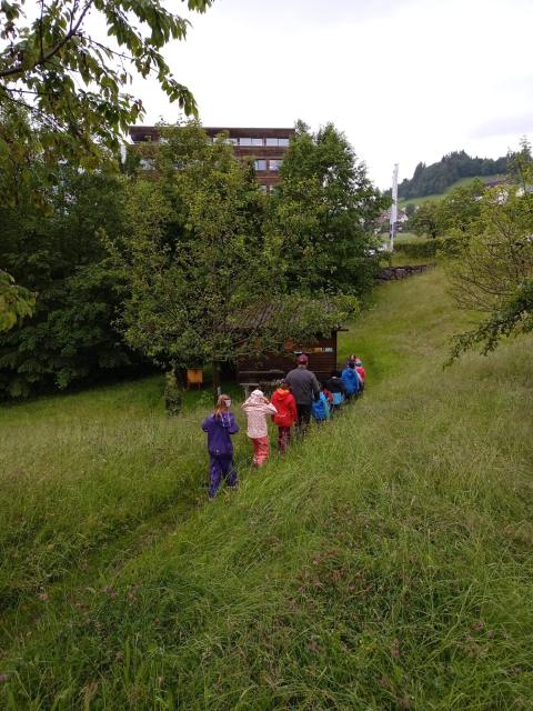 Ausflug zum Imker – Bild 6