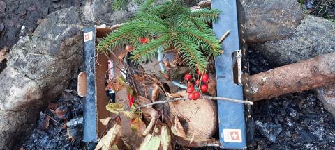 Bäume pflanzen – Bild 12