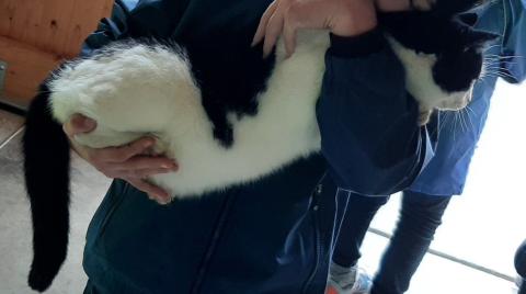 Besuch bei den Zwergkaninchen – Bild 3