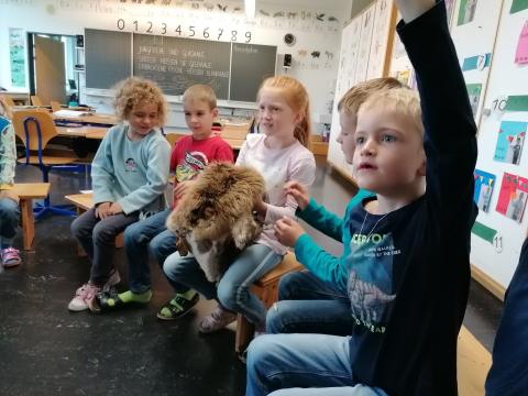 Besuch Wildhüter – Bild 3
