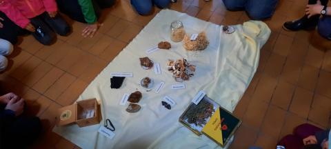 Feuer schlagen – Bild 4