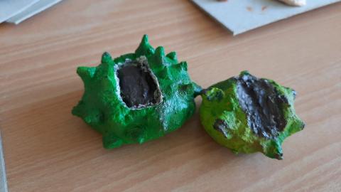 Herbsteinzug – Bild 5