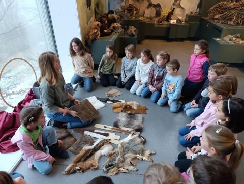 Naturmuseum – Bild 2