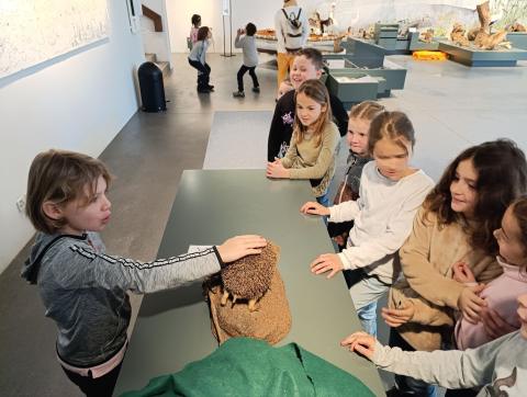 Naturmuseum – Bild 4