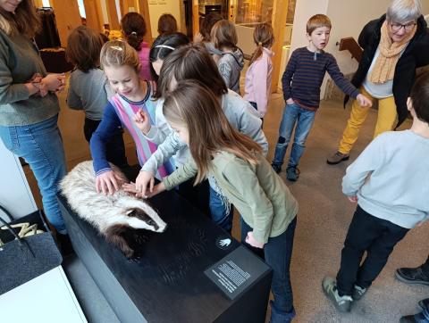 Naturmuseum – Bild 5