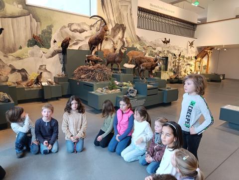 Naturmuseum – Bild 6