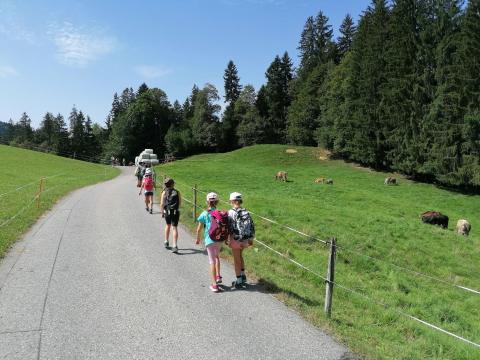 Schulreise 1./2. Klasse – Bild 10