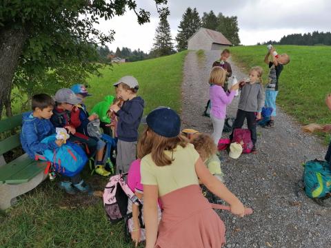 Schulreise 1./2. Klasse – Bild 11
