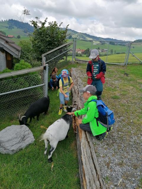 Schulreise 1./2. Klasse – Bild 15