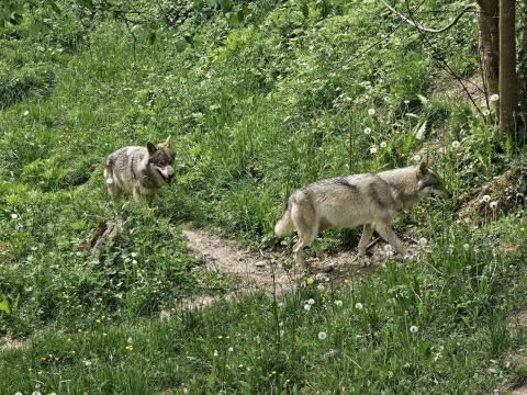 Schulreise – Bild 2