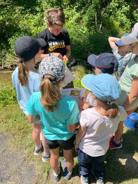 Wanderfestival 2023 – Bild 4